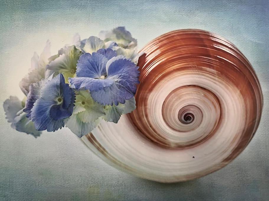 Casa Blue Flower - Bright & Breezy Home Fiskardo Ngoại thất bức ảnh